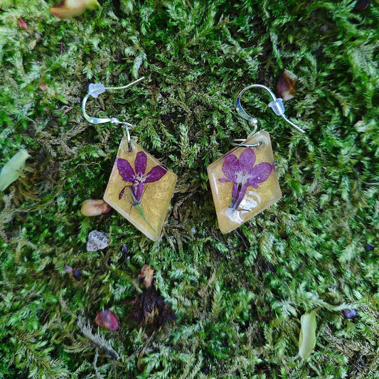 Violetta