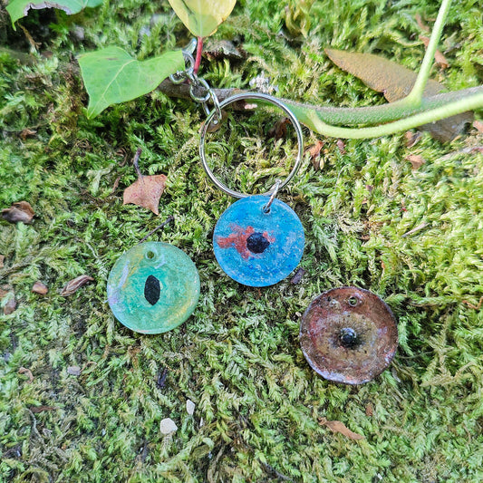 Beauté de l'iris